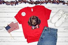 Load image into Gallery viewer, Patriotic Boykin Spaniel (AVAILABLE IN ALL SIZES)
