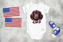 Load image into Gallery viewer, Patriotic Boykin Spaniel (AVAILABLE IN ALL SIZES)
